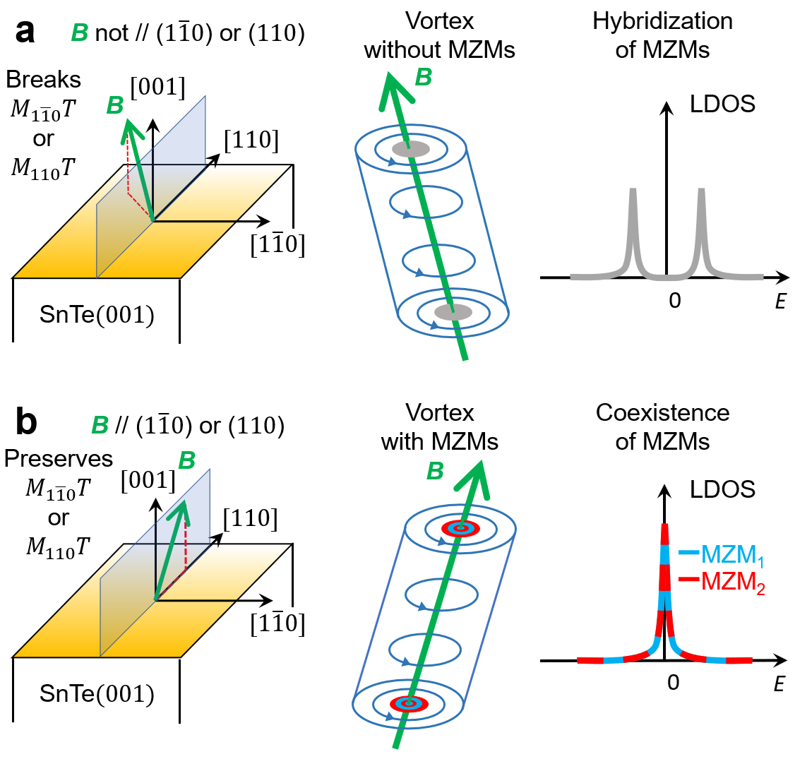 Fig. 3 Schematics for controllable hybridization of MT protected MZMs using tilted magnetic fields. (a) The magnetic field is not parallel to the 110 or 110 mirror planes and breaks the symmetry that protects the MZMs. (b) The magnetic field is parallel to the 110 or 110 mirror planes and preserves the symmetry that protects the MZMs. Left: Schematics for the tilted magnetic field and the mirror planes. Middle: Schematics for the tilted vortex line. Right: Schematics for the local density of states showing the nonexistence or existence of the MZMs.