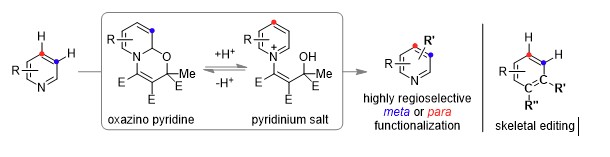 Regioselective Pyridine C-H-Functionalization and Skeletal Editing