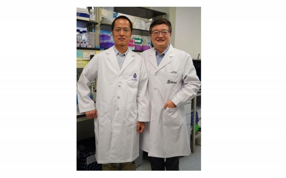 The research team members include (from left): Professor Dang Shangyu, Assistant Professor of Division of Life Science, HKUST and Professor Chen Zhiwei, Director of AIDS Institute of the University of Hong Kong and Professor of the Department of Microbiology, School of Clinical Medicine, HKUMed.