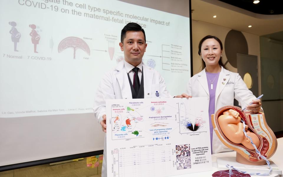 The research team is led by Prof. Danny LEUNG, Associate Professor of the Division of Life Science and Director of the Center for Epigenomics Research at HKUST (left), and Prof. Liona POON, Chairperson of the Department of Obstetrics and Gynaecology at CUHK’s Faculty of Medicine.