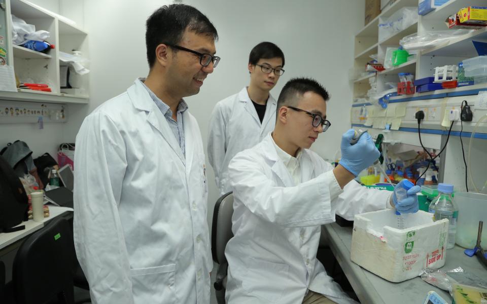 博士研究生马天骥（前右）在郭教授（前左）的指导下进行实验。