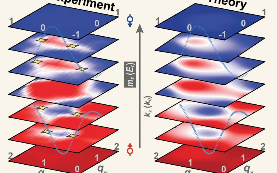 Three-dimensional band topology is experimentally mapped out showing nodal lines in good agreement with theoretical prediction.