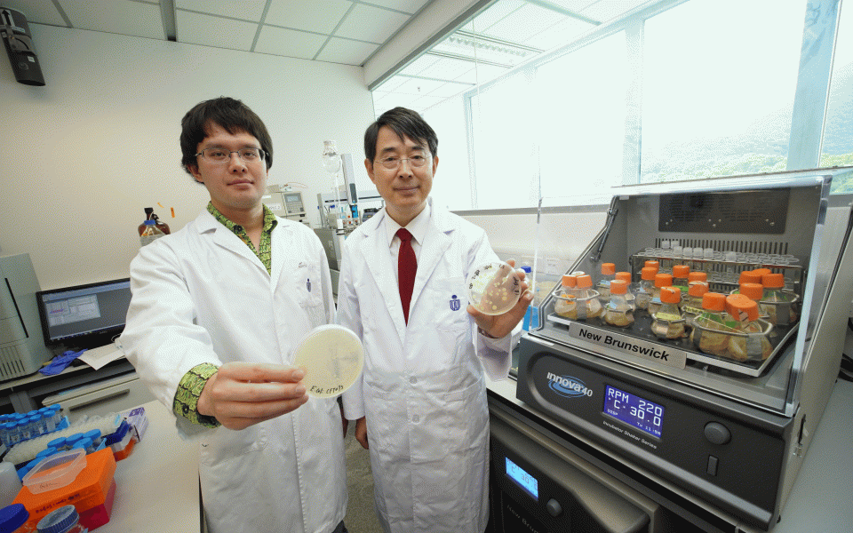 钱培元教授(右)及其研究团队成员李忠瑞利用图右的仪器培植细菌