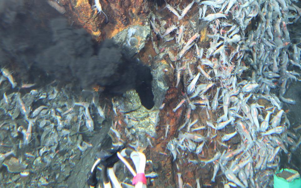海底热泉 (圖片來源﹕JAMSTEC)
