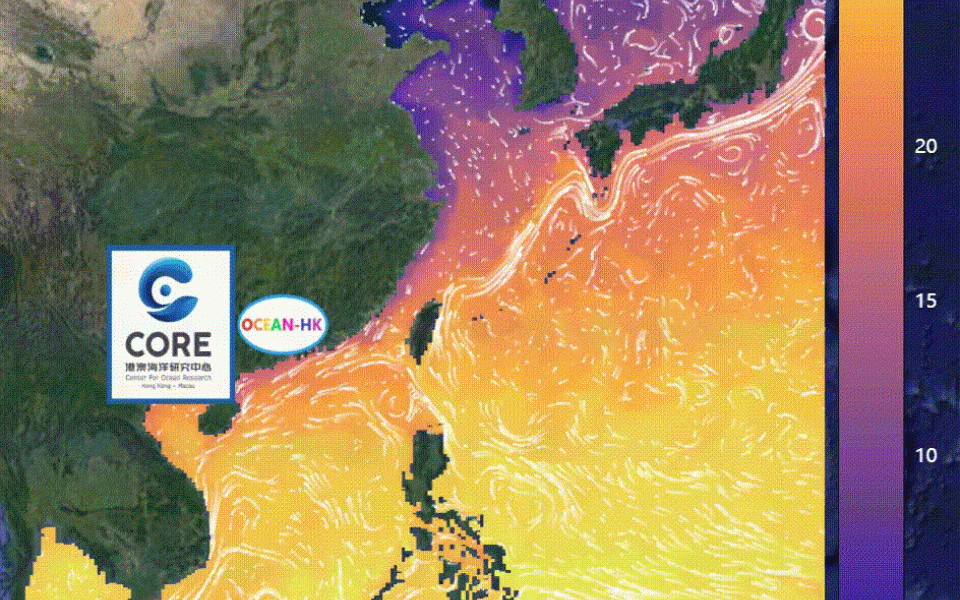Various physical and biogeochemical ocean data can be obtained or downloaded from the platform.