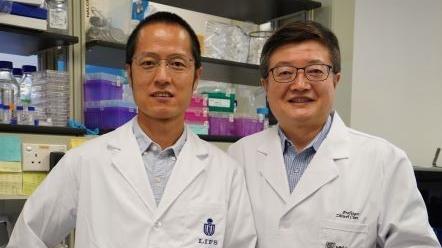 A joint research team from The Hong Kong University of Science and Technology (HKUST), and the LKS Faculty of Medicine, The University of Hong Kong (HKUMed) have demonstrated that ZCB11, a broadly neutralising antibody derived from a local mRNA-vaccinee against the spreading Omicron variants of SARS-CoV-2, displays potent antiviral activities against all variants of concern (VOCs), including the dominantly spreading Omicron BA.1, BA1.1 and BA.2. The research team members include (from left): Professor Dang 