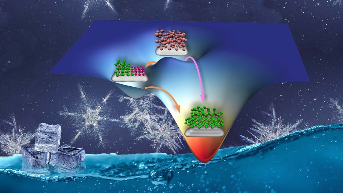 Ice nucleation on foreign surfaces can proceed via both one-step (magenta arrow) and two-step (orange arrows) pathways, facilitated by the balanced synergetic, entropic effects of hexagonal (green spheres) and rhombic (purple spheres) ice structures.