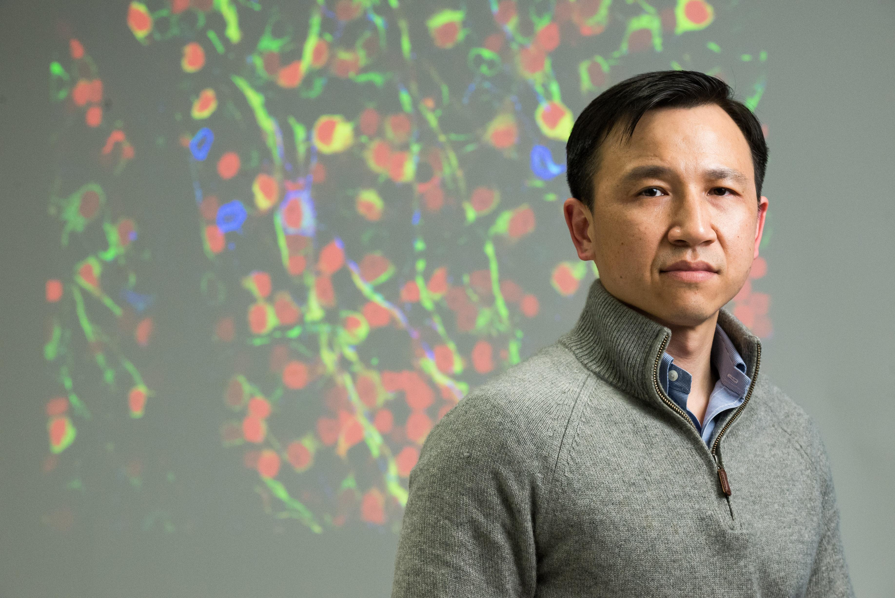 Prof. LIU Kai from the Division of Life Science