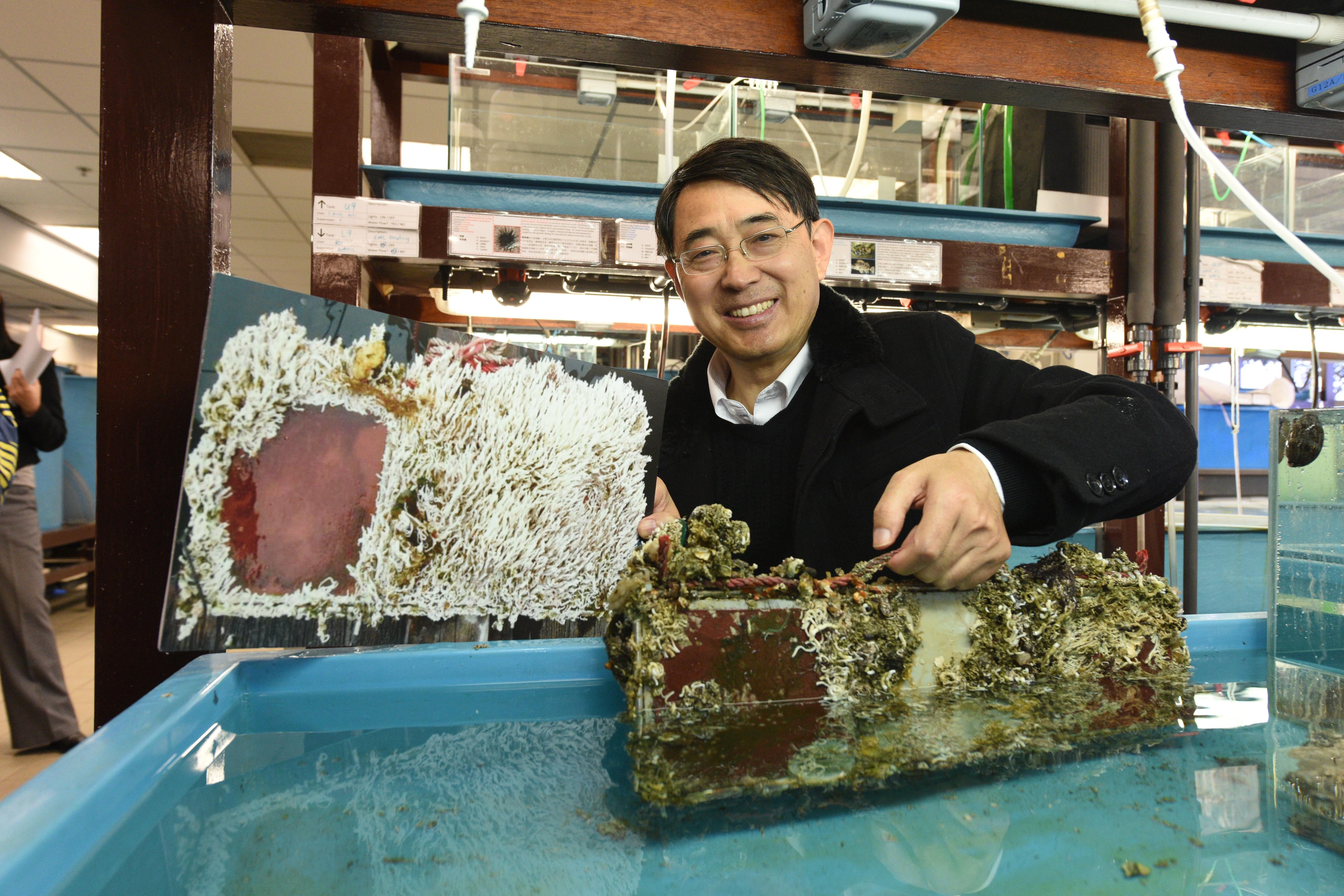 Prof. QIAN demonstrates the effect of his antifouling coating. The smooth surface on the left is a result after applying the coating for 18 months, while the one on the right shows what happened after more than two years.