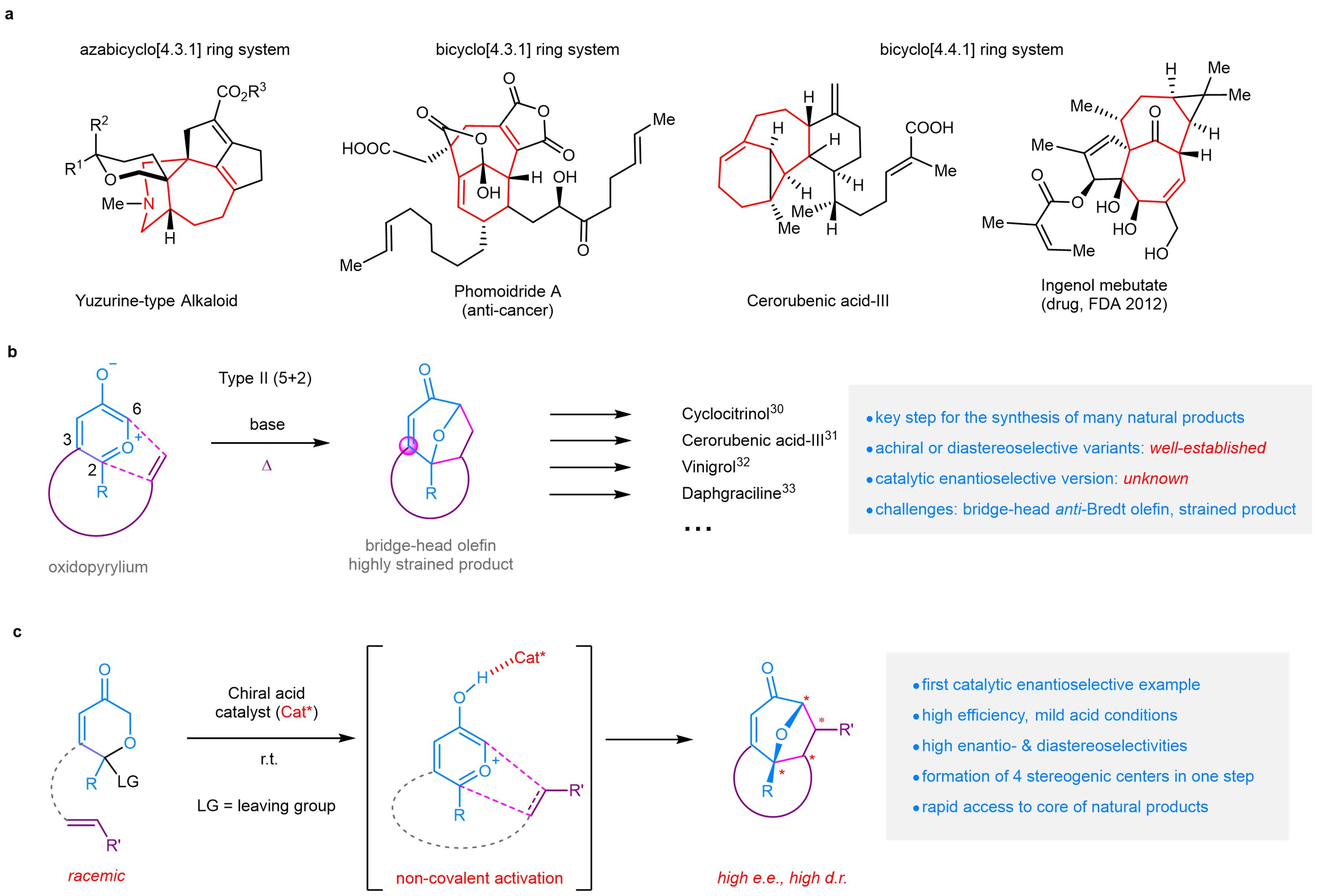 A schematic of the catalytic enantioselective type II [5 + 2] cycloaddition method.
