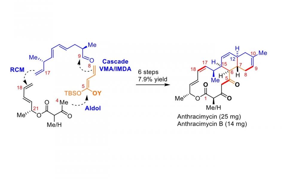 The novel chemical synthesis of anthracimycin devised by Prof. Tong and his team