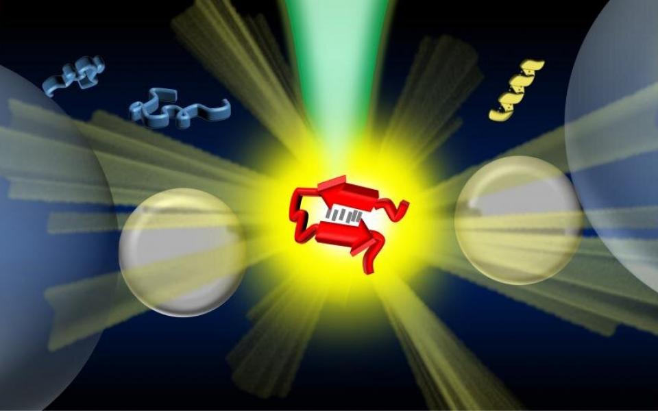 An illustration showing the optical tweezers-controlled hotspot for the protein structural characterization by surface-enhanced Raman spectroscopy.