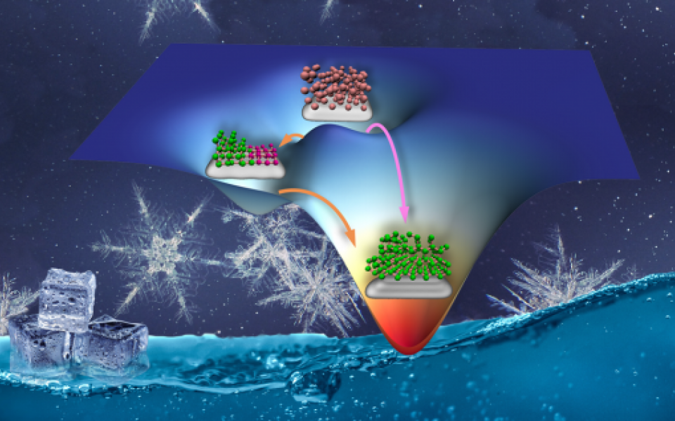 Ice nucleation on foreign surfaces can proceed via both one-step (magenta arrow) and two-step (orange arrows) pathways, facilitated by the balanced synergetic, entropic effects of hexagonal (green spheres) and rhombic (purple spheres) ice structures.
